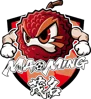 Maoming Team