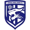 Wuhan Three Towns U20